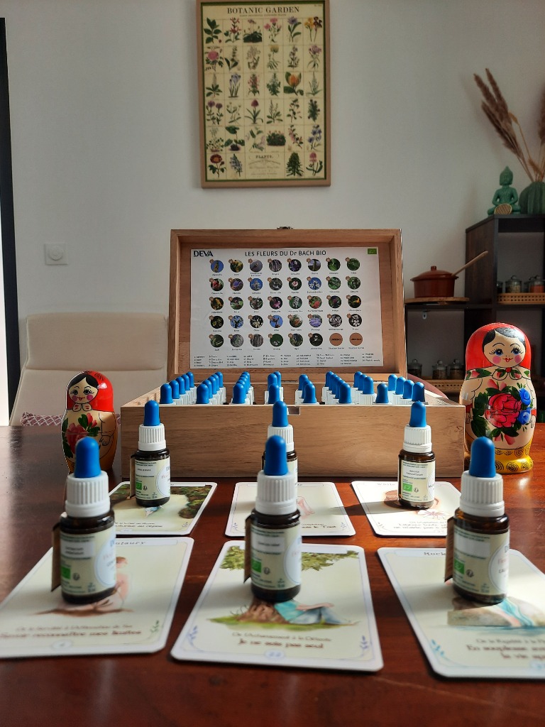 photo activite Marjory La Greca 