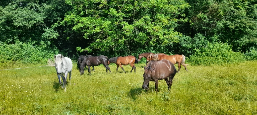 photo activite Graziella ELOY