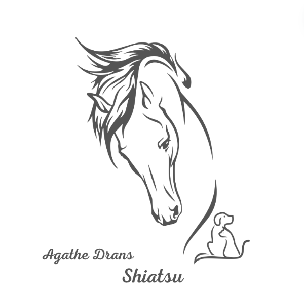 Agathe Drans Shiatsu - Equin et animalier