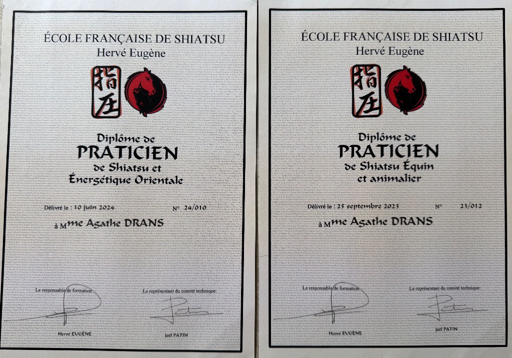 photo diplome Agathe Drans - Shiatsu & Kinésiologie