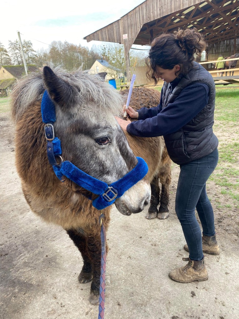photo seance Agathe Drans