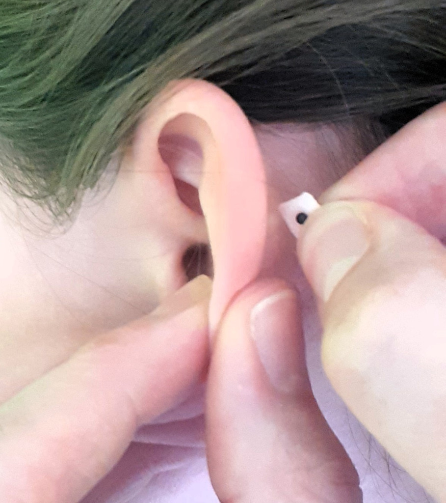 photo seance Pingeon Clarys