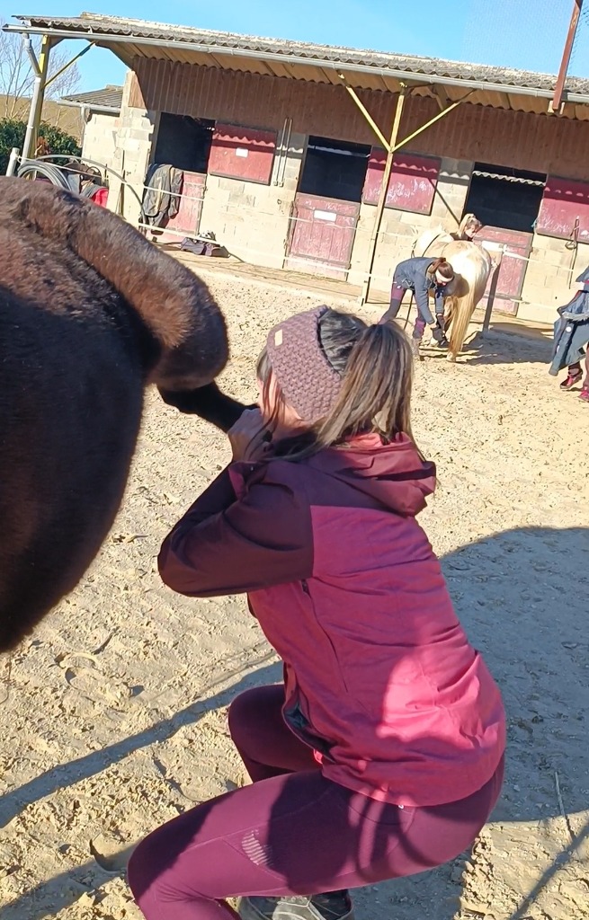 photo activite Sana Harche