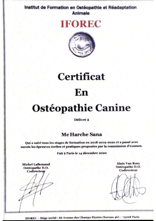 photo diplome Sana Harche