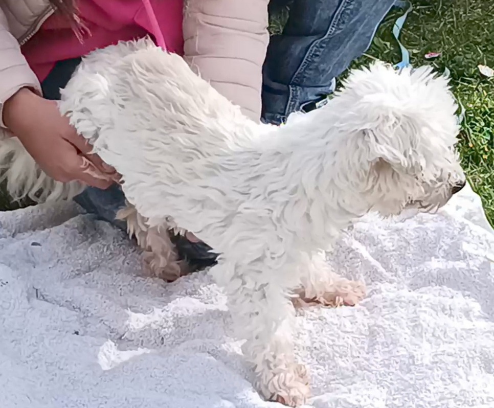 photo seance Sana Harche