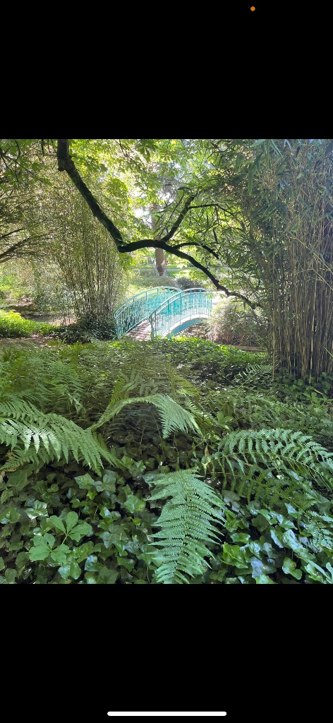 photo activite Sandrine Flow & Sea’nergie