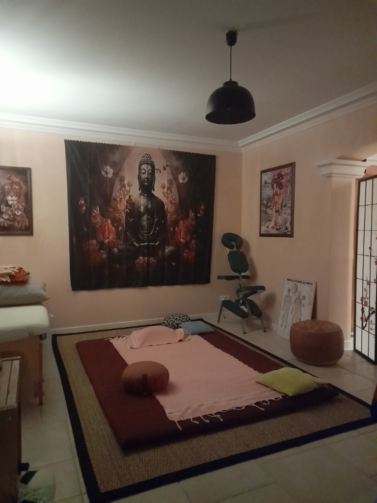 photo cabinet Chenaye Marc praticien shiatsu traditionnel