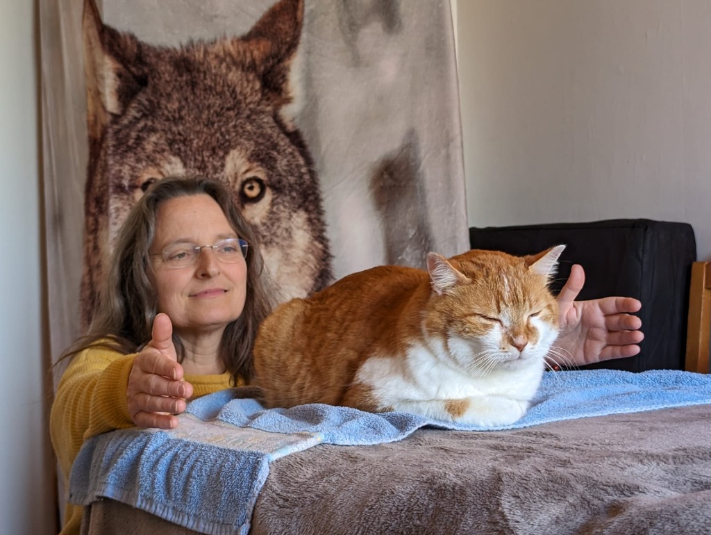 photo seance Hélène et les Energies Delebarre