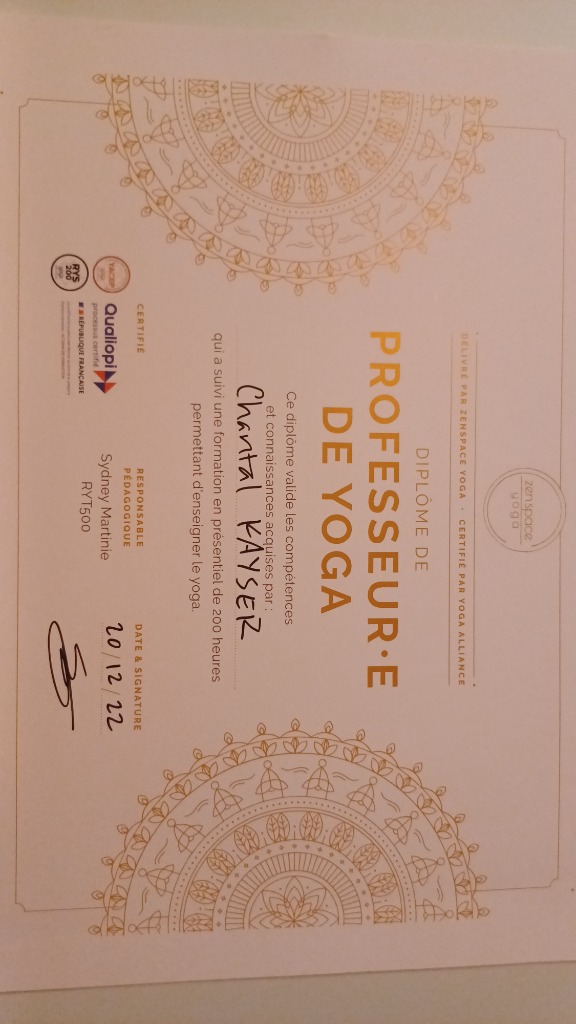 photo diplome CKVINYASA 