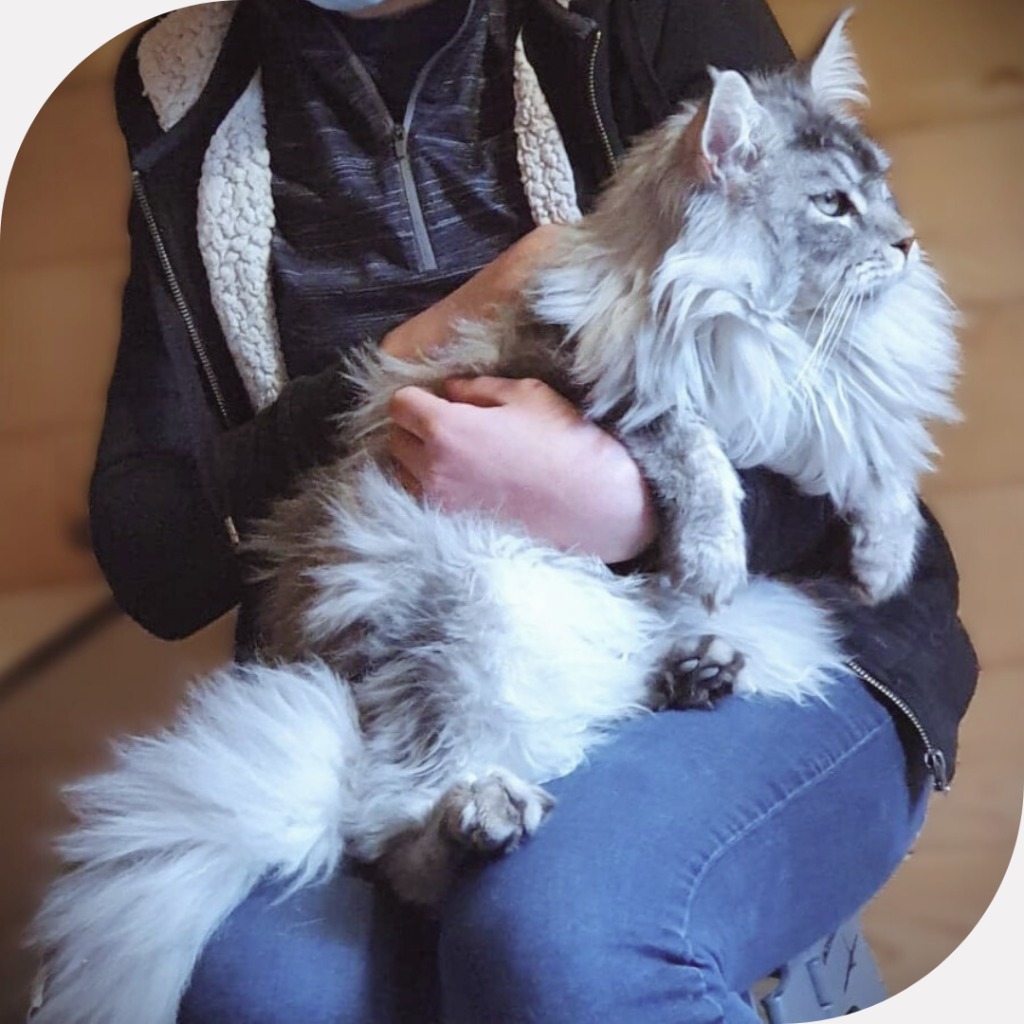 photo activite Animabloom