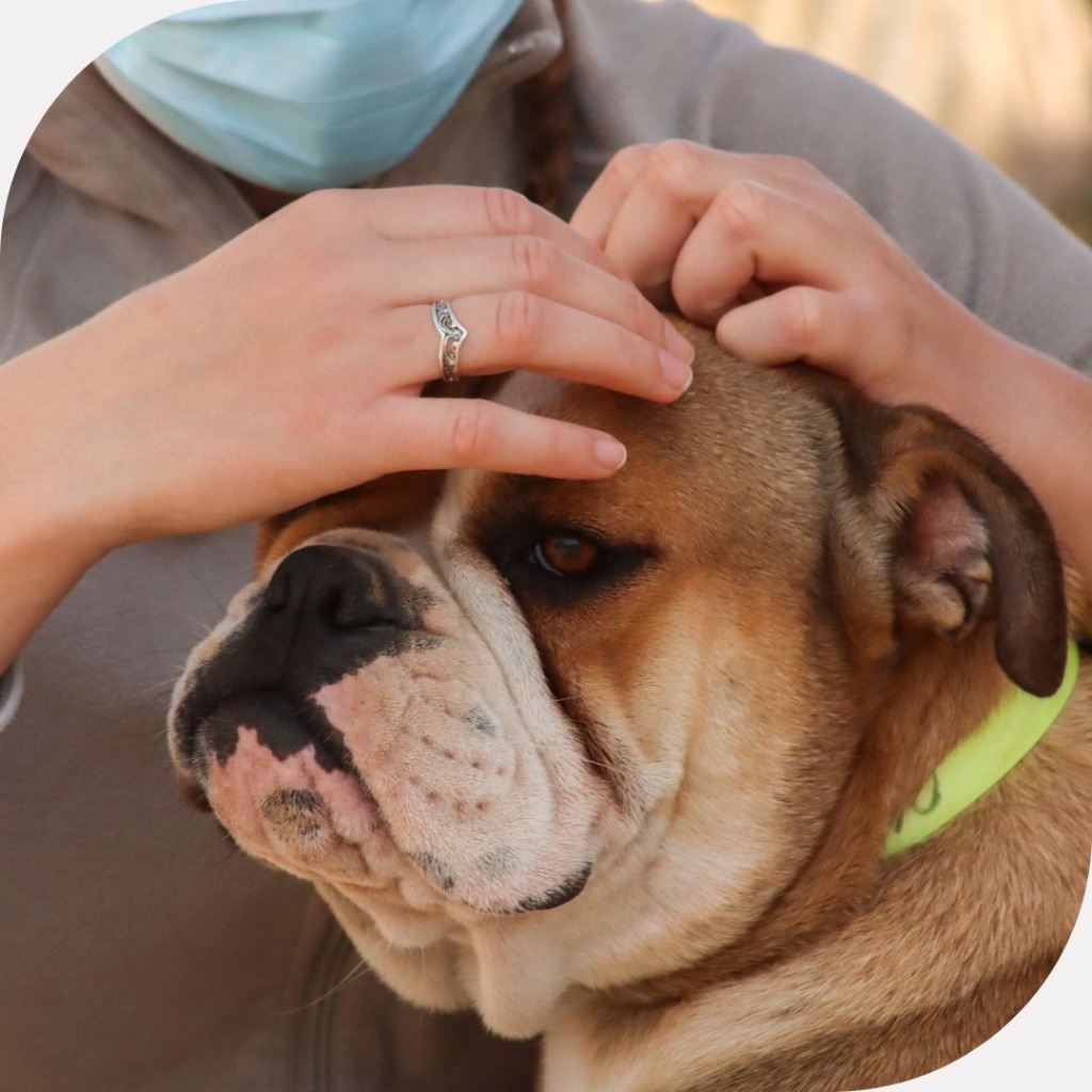 photo portrait Animabloom