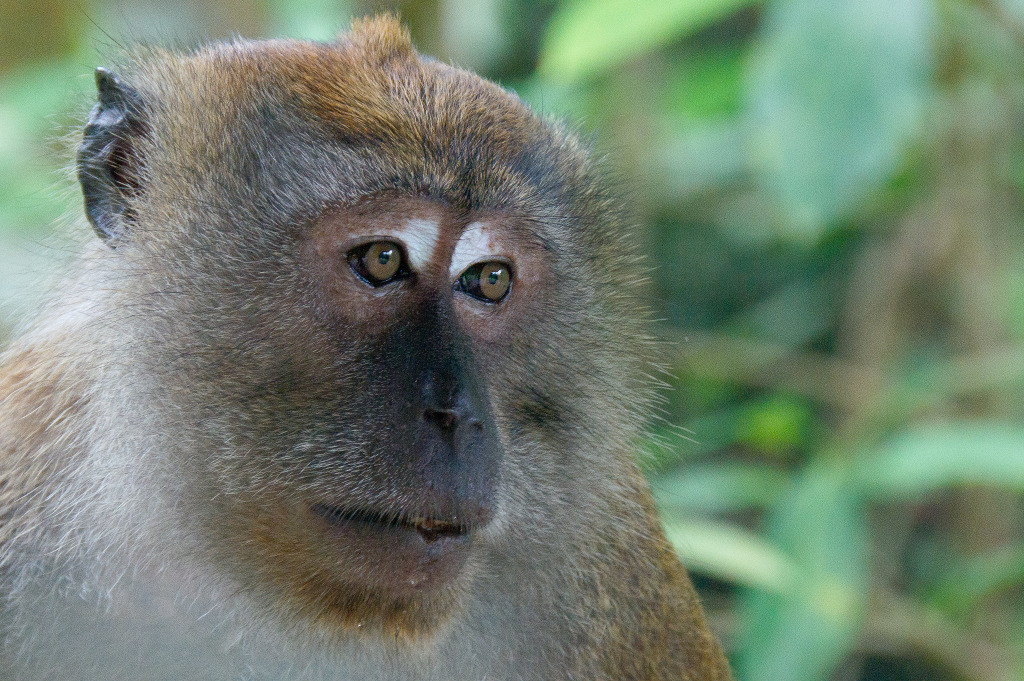 photo activite Atelier Passage