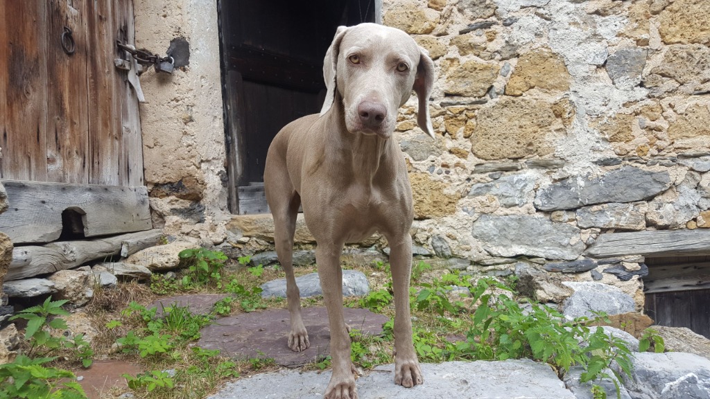 photo seance NaturoPlumes