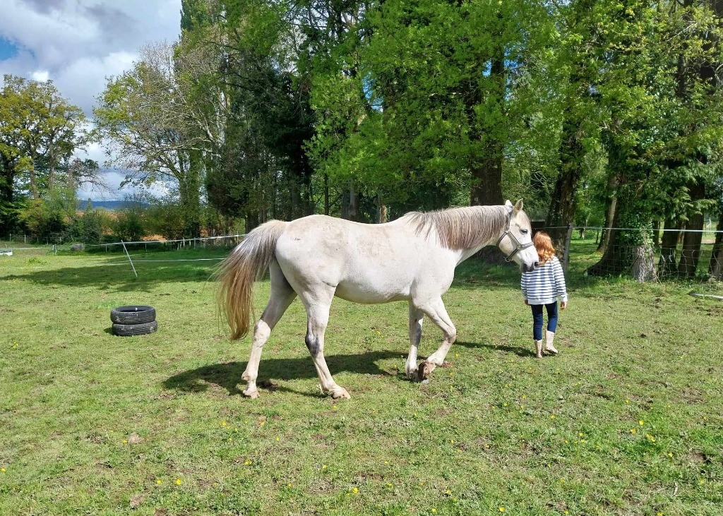 photo activite Anne Stéphan