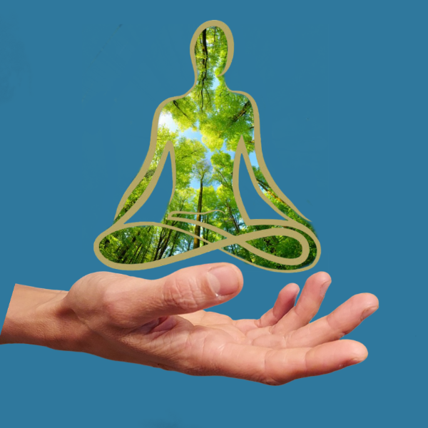 Claude Élise Julian