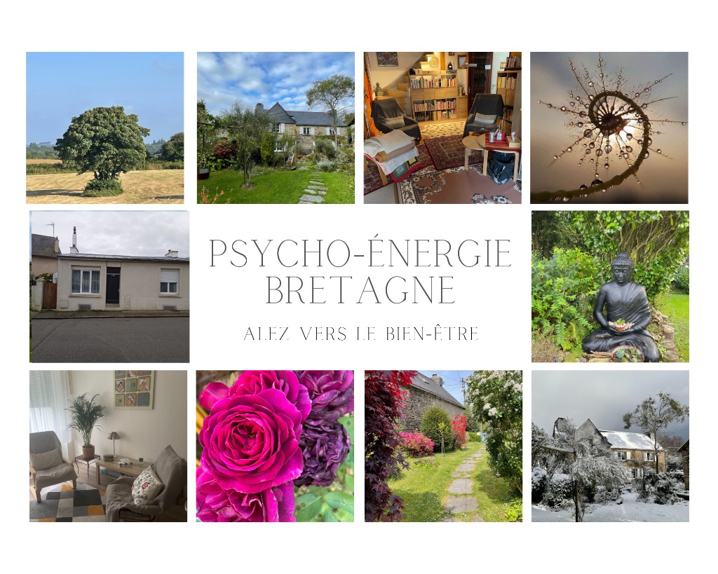 photo cabinet Olivier Gaille