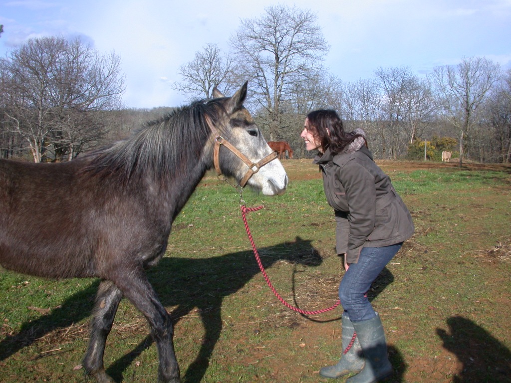 photo seance Alicorne Sophrologie