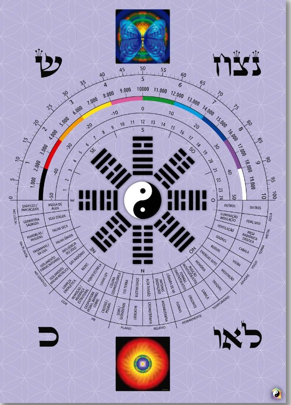 photo cabinet Luciana Muniz