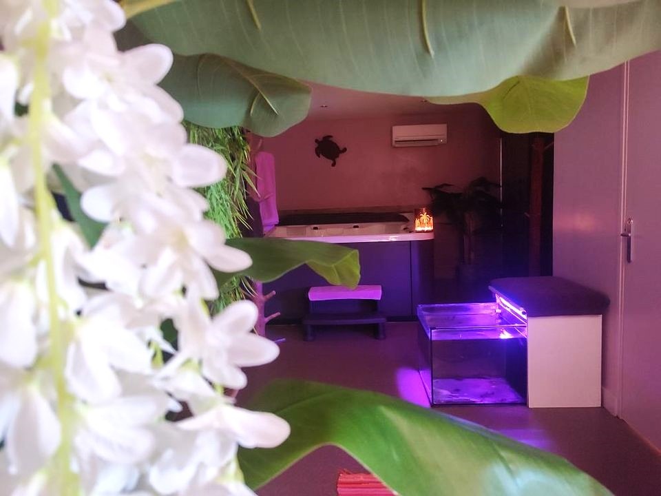 photo seance IBIDEM SPA 