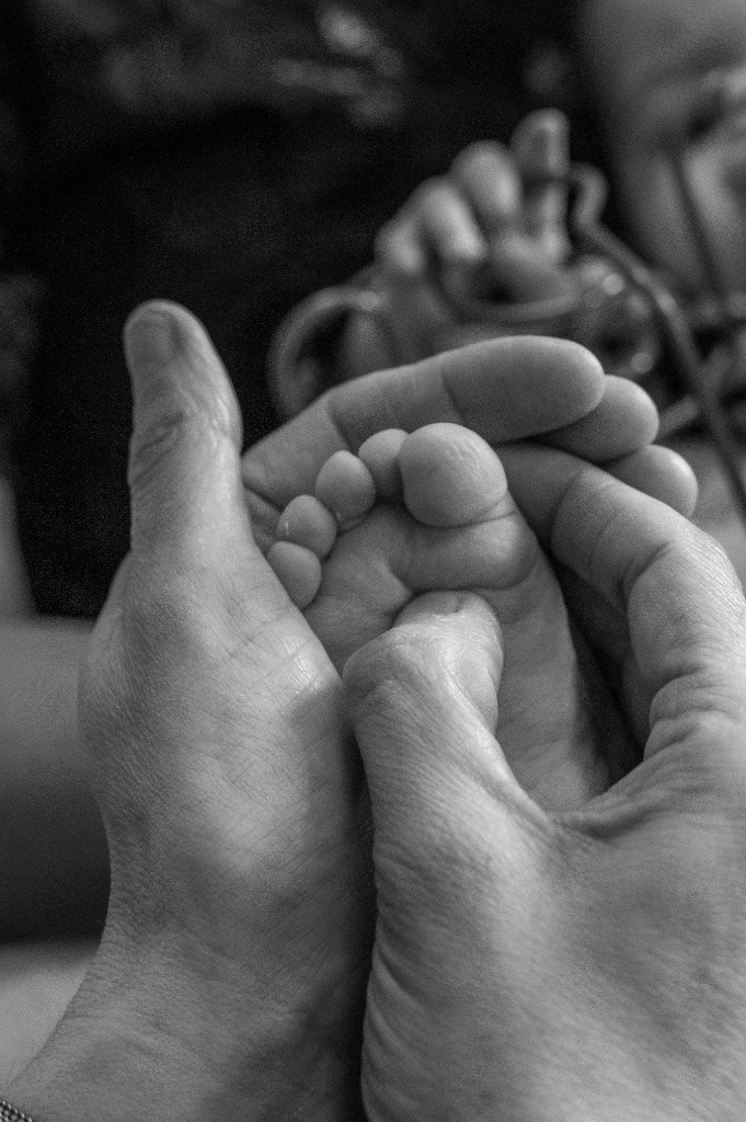 photo activite Amélie HEDIER