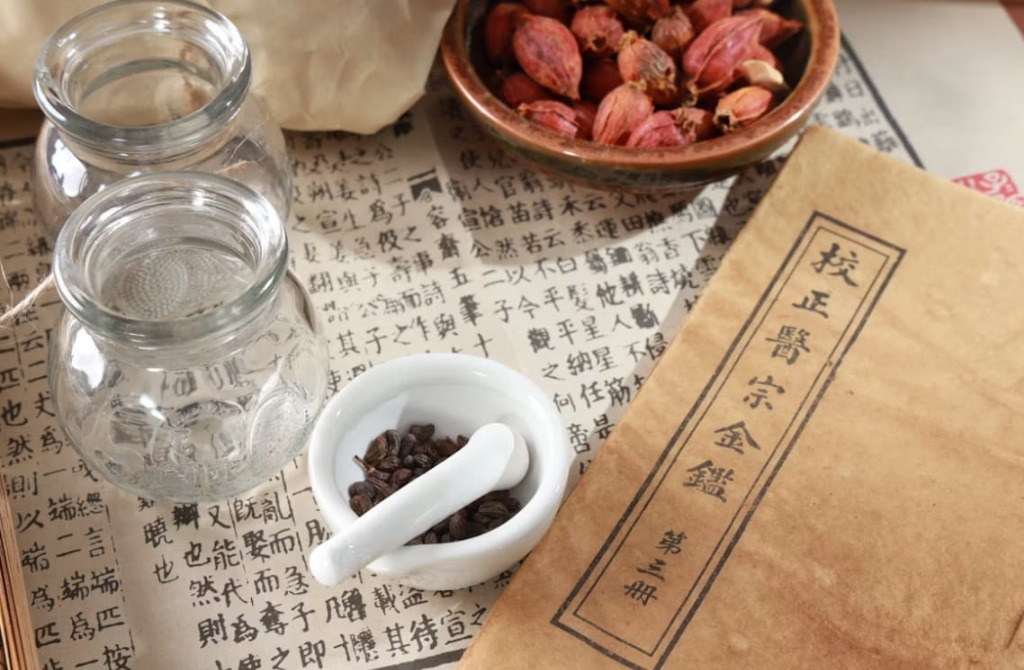 photo activite Cindy Soupin 