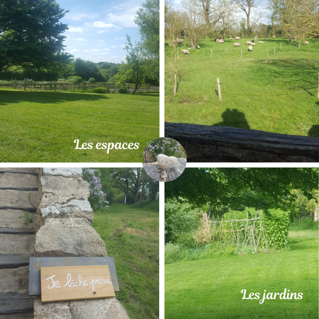 photo activite Tuffereau