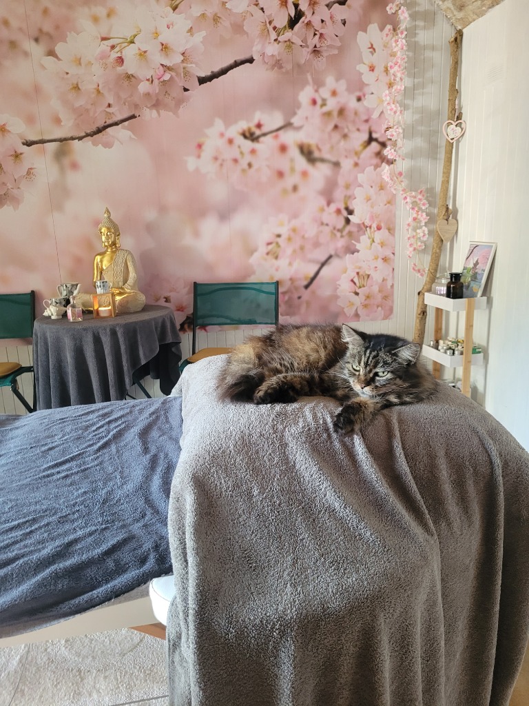 photo cabinet Chrystiel Energy 