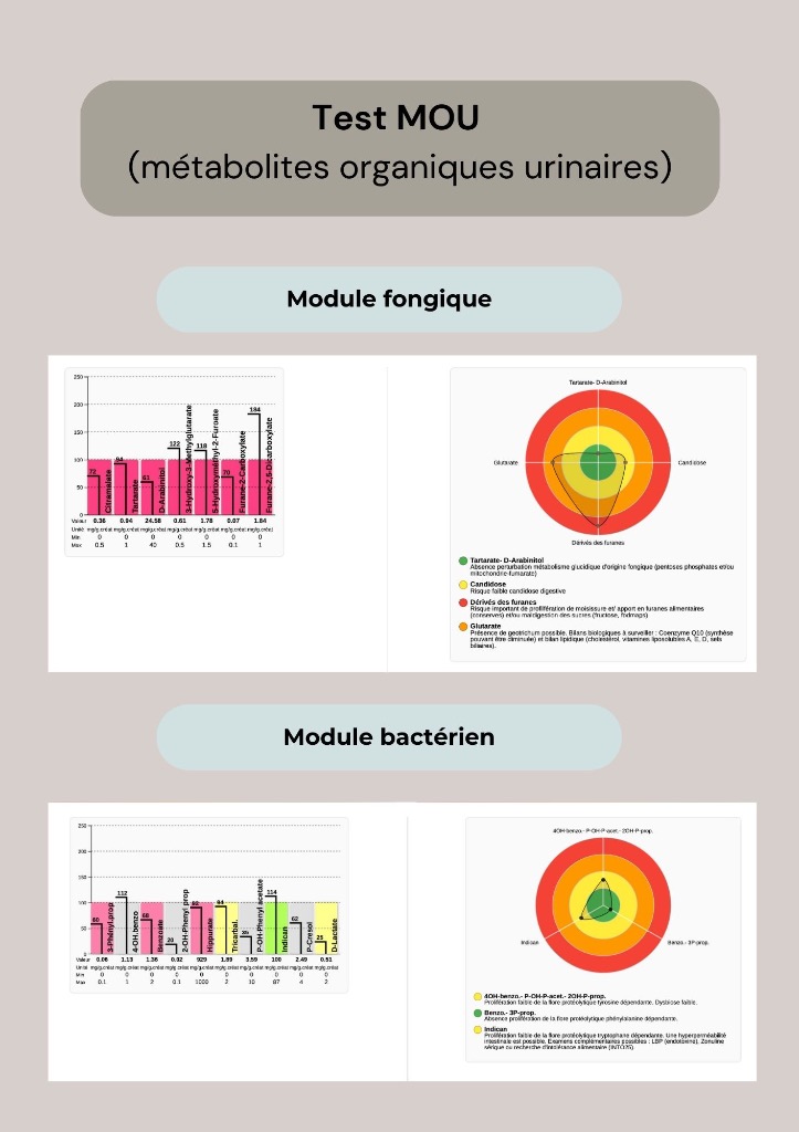 photo activite Coline Desbordes 