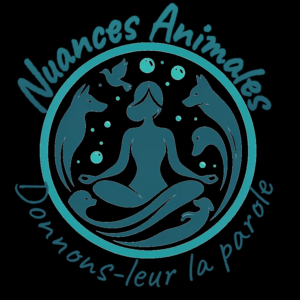 photo activite Nuances Animales