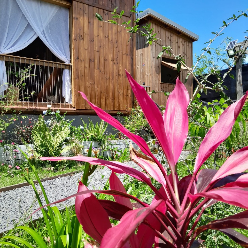 photo cabinet Lauriane Dalleau