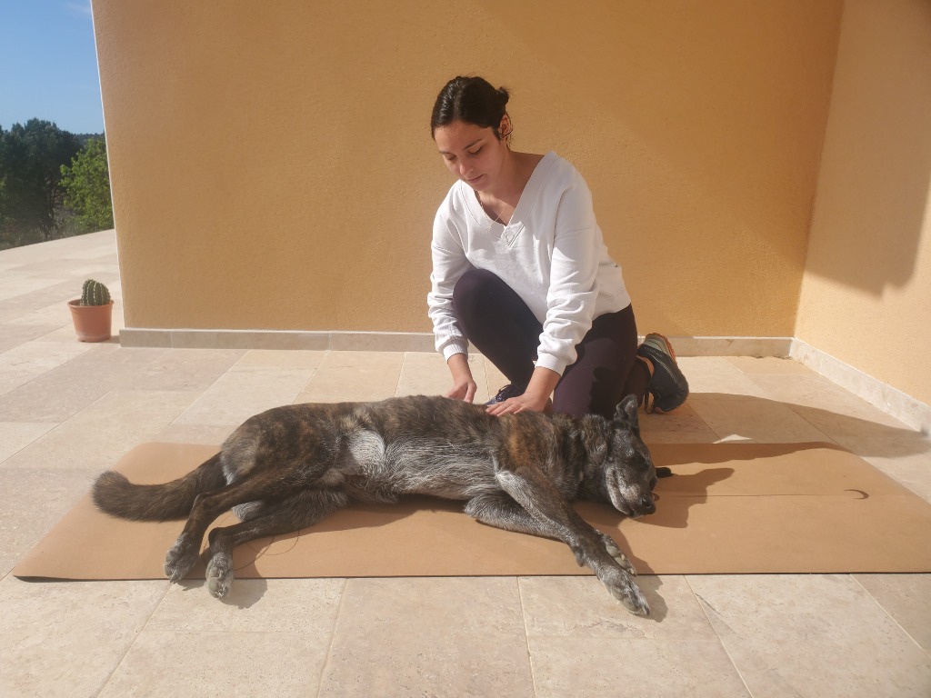 photo seance Laurine Mellado