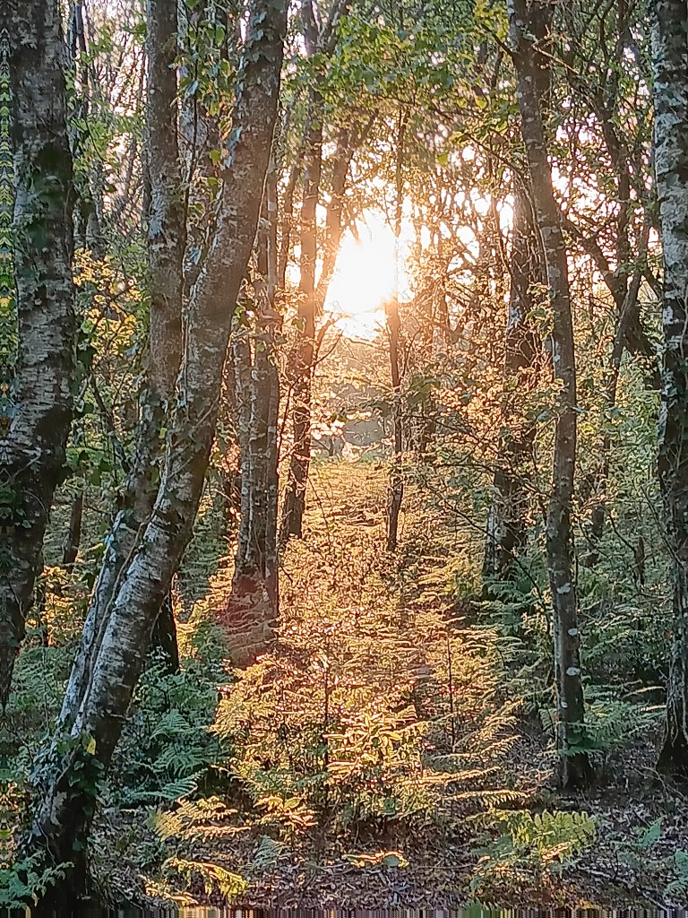 photo activite Louis d’Aur Bien-Être