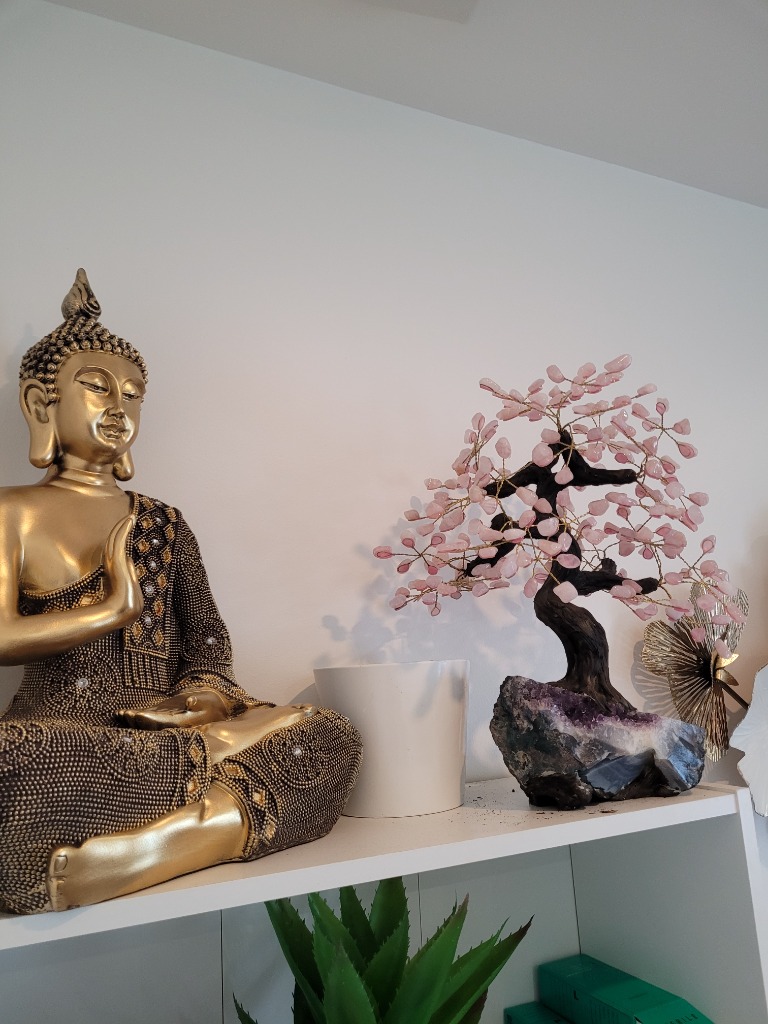 photo activite DA GRAÇA FURTADO