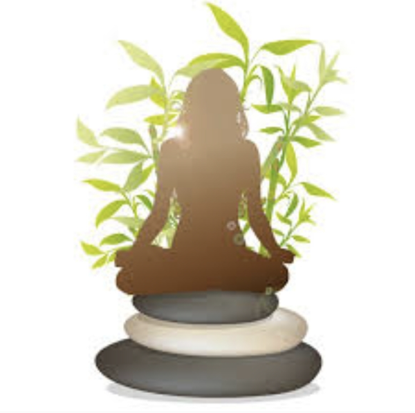 "La Résilience de l’Âme"  Karine DELHAYE E.I.