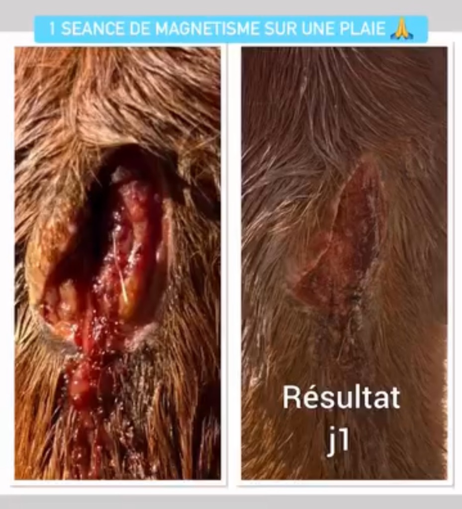 photo seance Karine B Magnétiseuse Formattrice