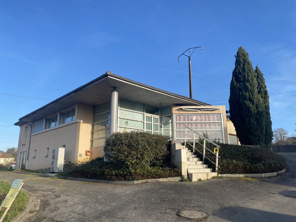 photo activite Sophie Bignon