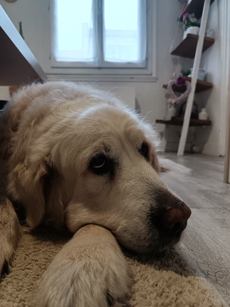 photo activite Anne Senechal