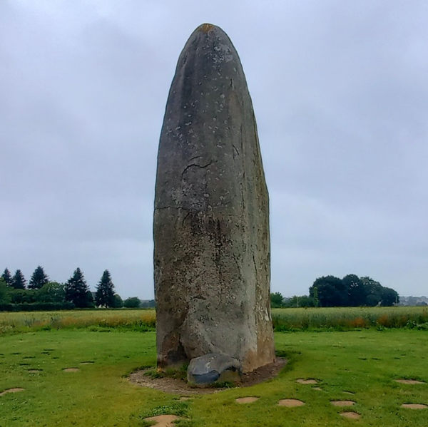 CAUSS’46 GEOBIOLOGIE