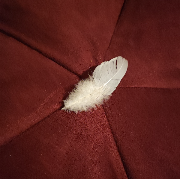 Mélodie Galliot Lambert