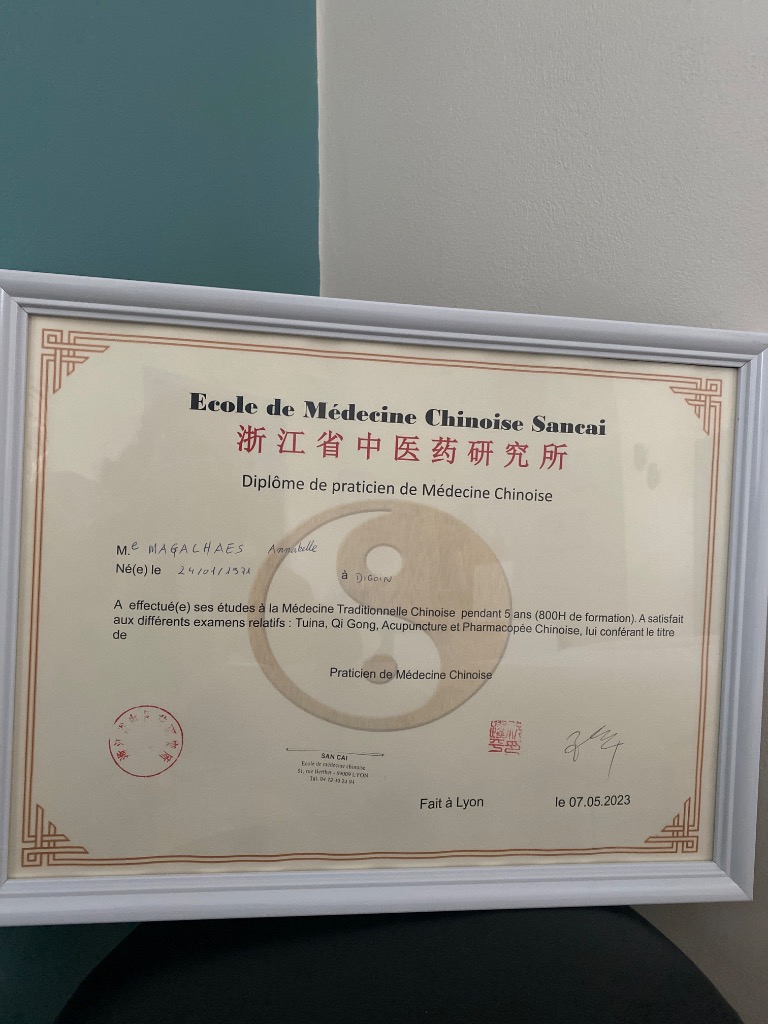 photo diplome MELIUS BE/MIEUX- ËTRE