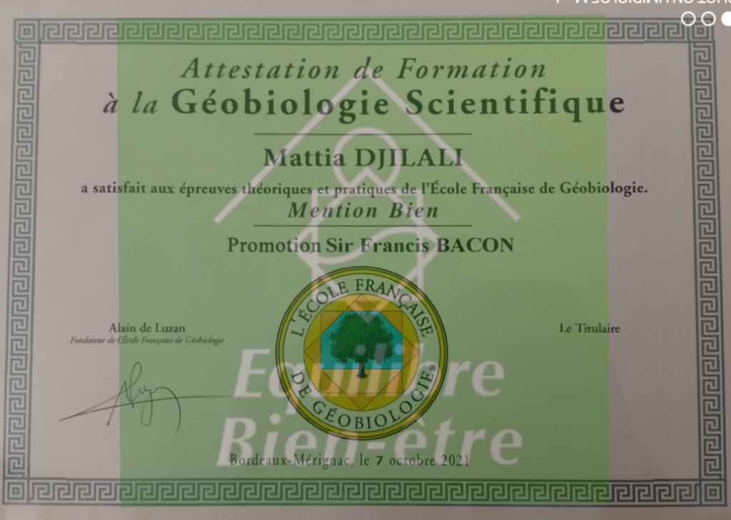 photo diplome Mattia DJILALI