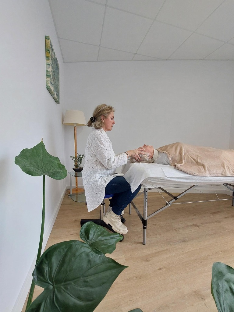 photo activite BRIGITTE SAUVIAT