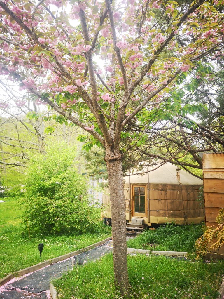 photo cabinet Eloïse Lauret