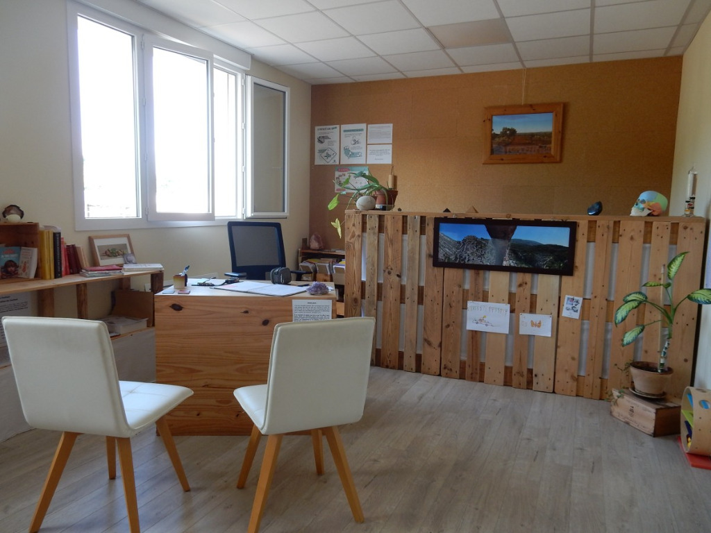 photo activite Richard Larmenier EI