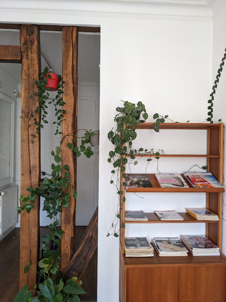 photo activite Julie TRAN