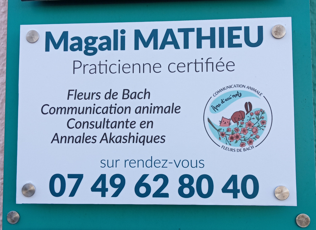 photo cabinet Magali Mathieu 