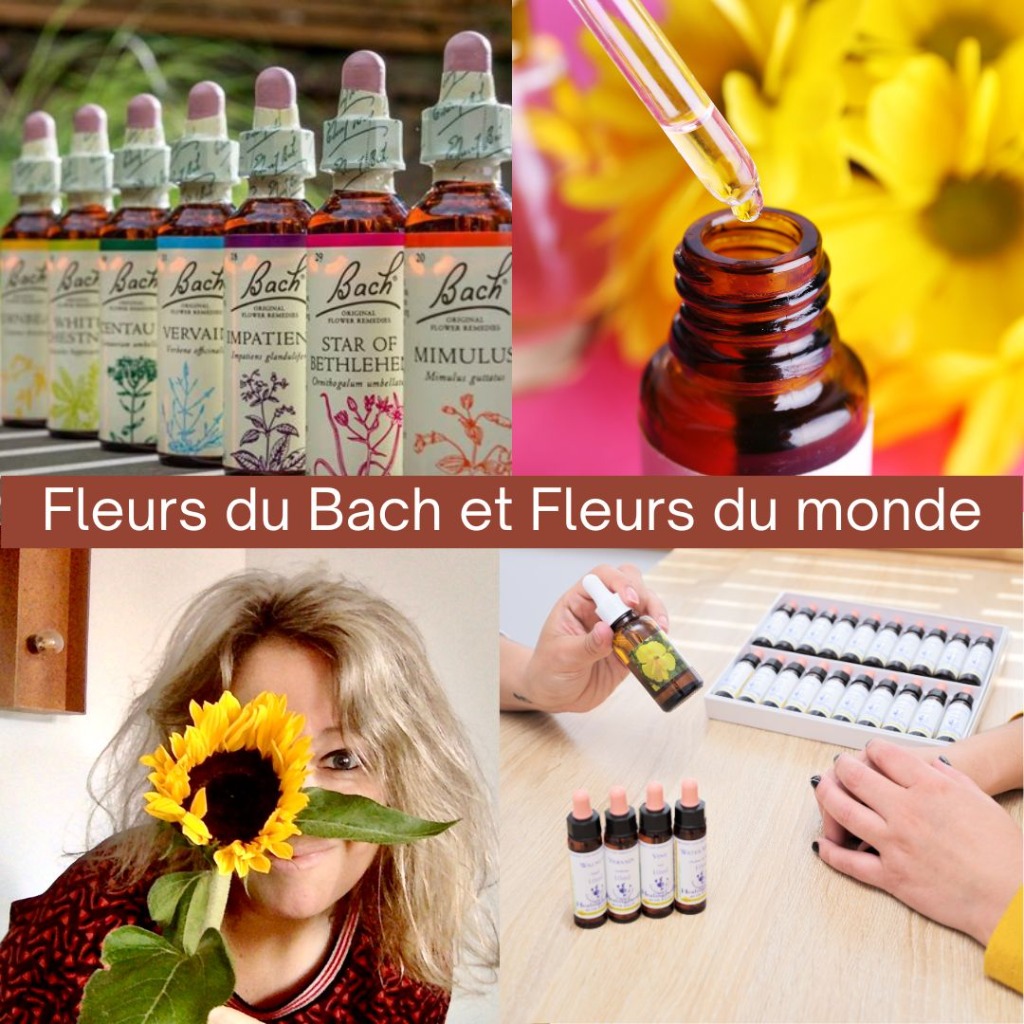 photo cabinet PRONIEWSKI Claire