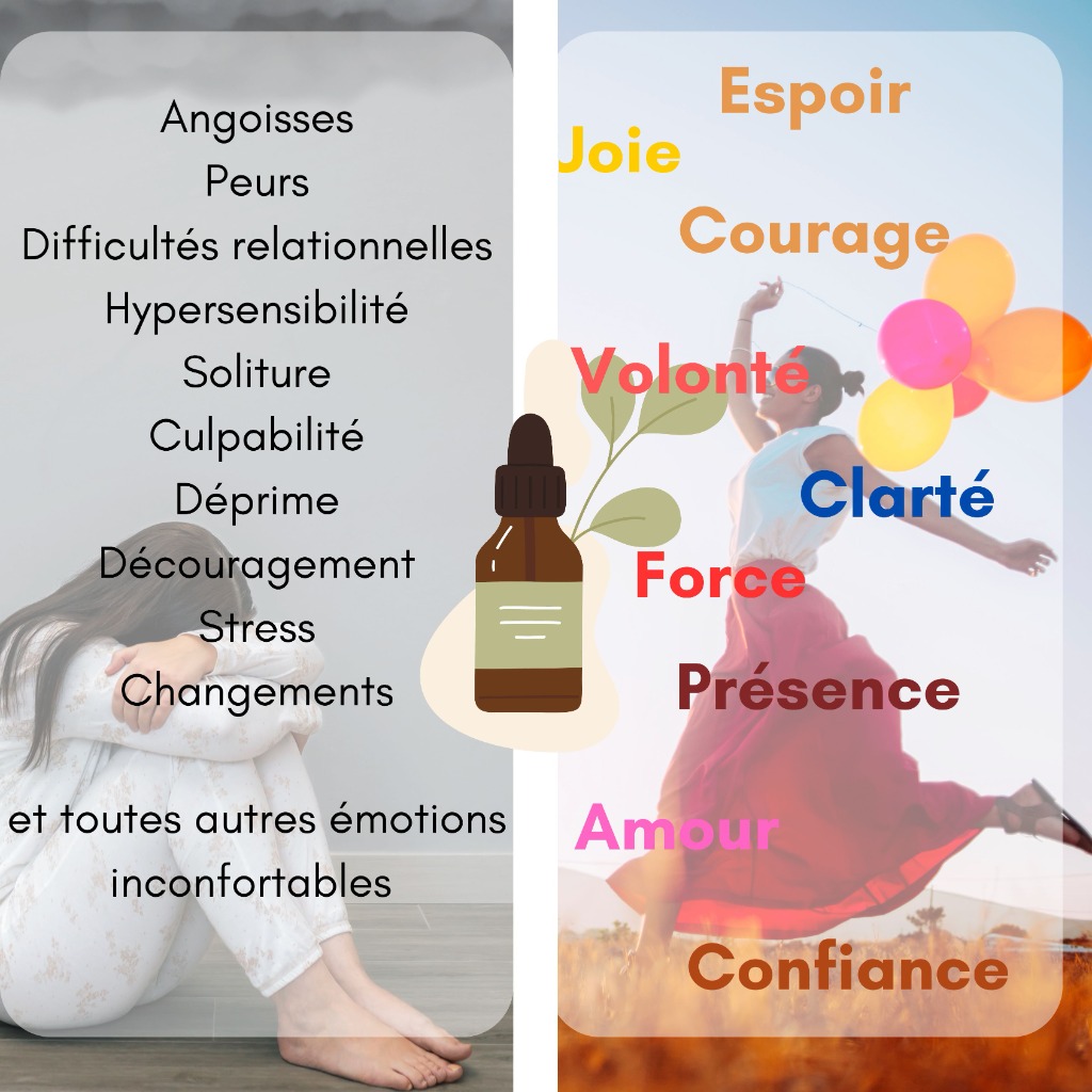 photo seance PRONIEWSKI Claire