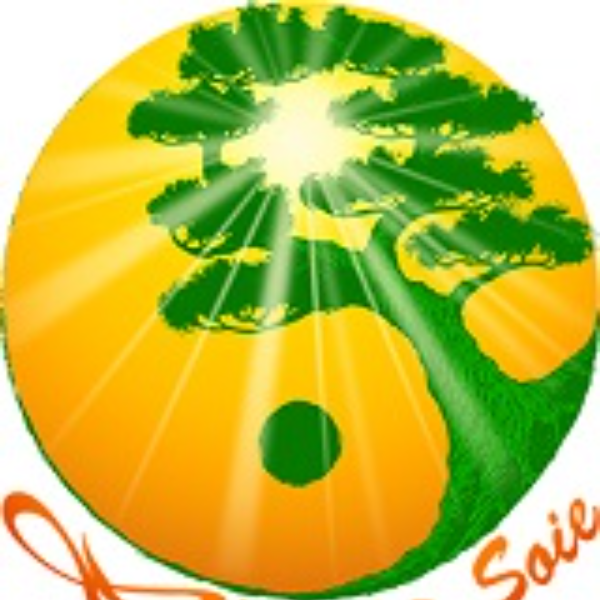 L’Eveil A Soie_Méditation Qi Gong Bourgoin Jallieu