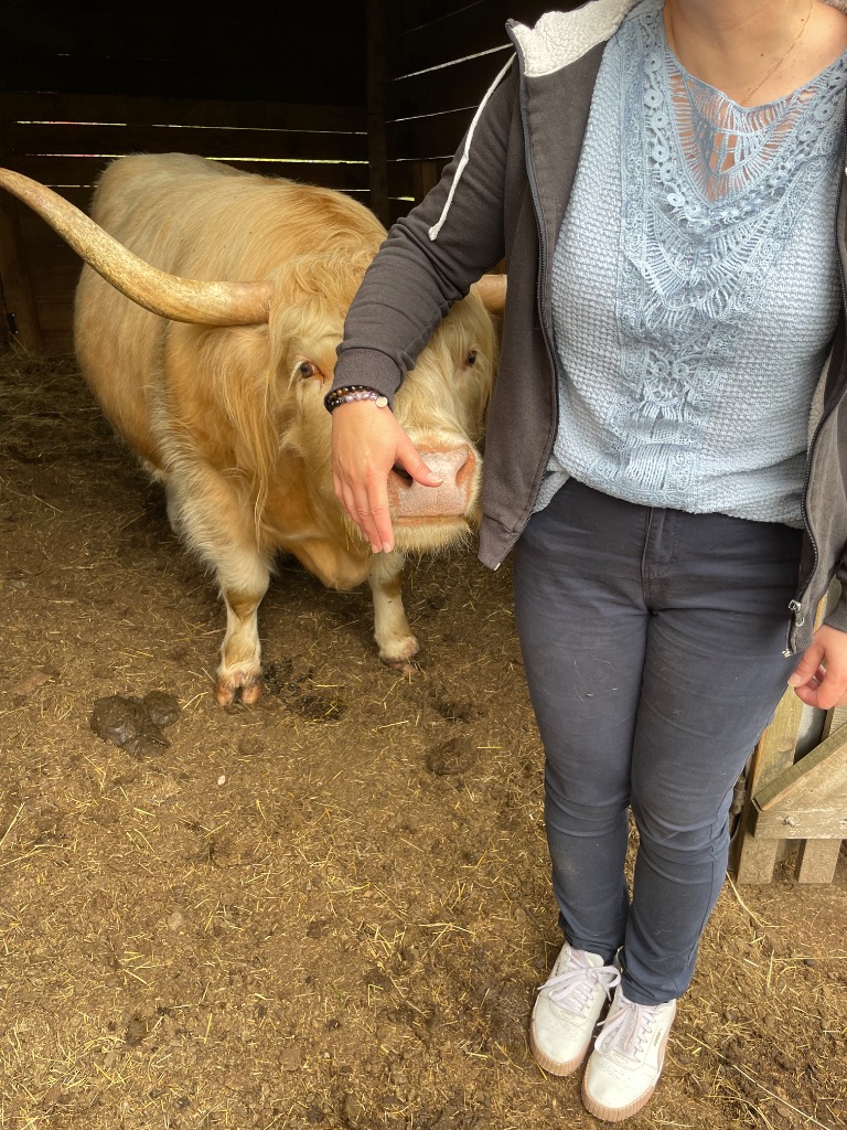 photo activite Johanna Decou 